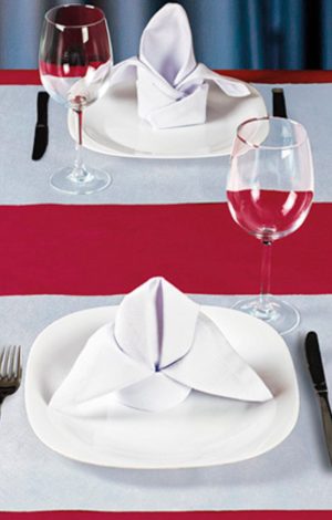 Toalha de Mesa Individual Descartável HOSTEX