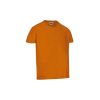 T-Shirt Criança M/Curta DINO